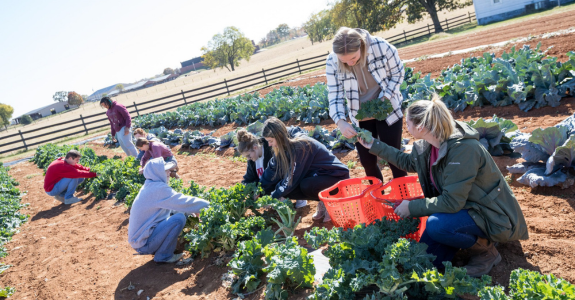 farm_to_campus