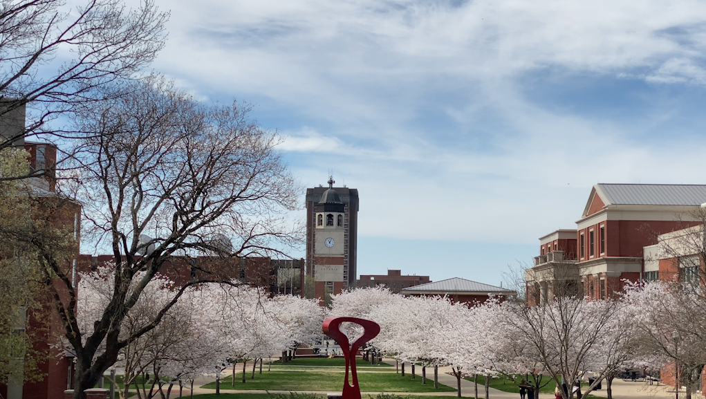 Admissions