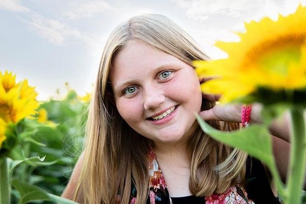 sunflower