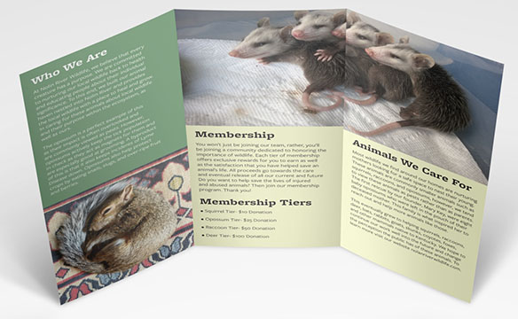 Nolin Brochure