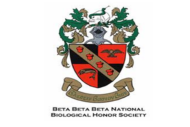 beta