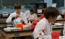 Interdisciplinary Programs | Western Kentucky University
