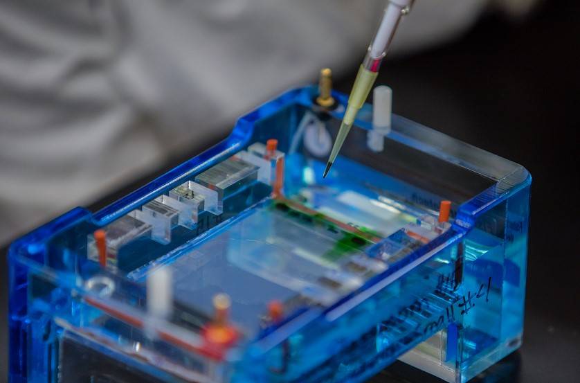 WKU Biotechnology
