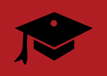  Scholarship Link