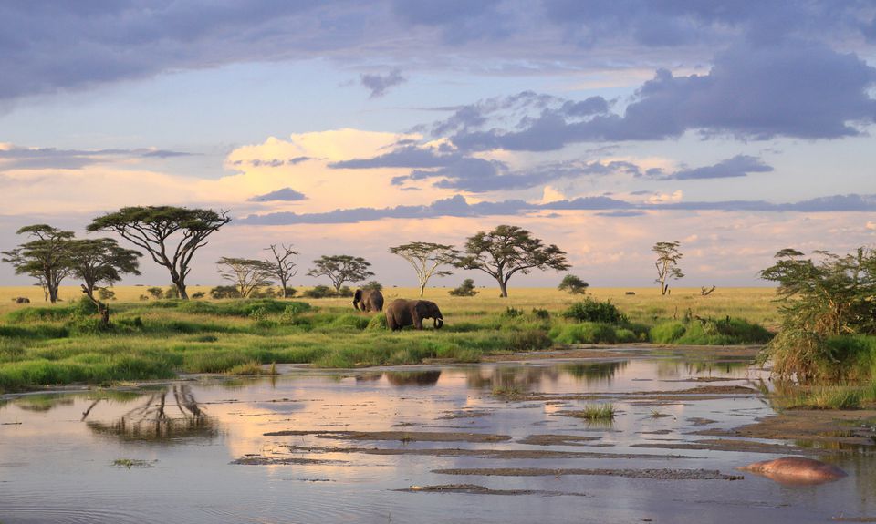 tanzania