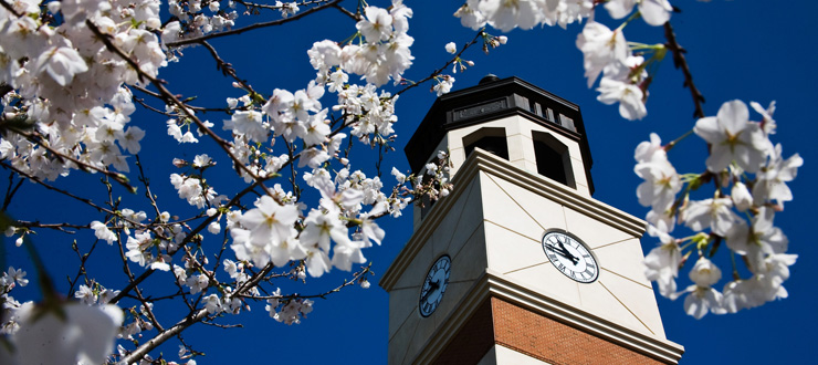 College of Health & Human Services:  Research & Sponsored Programs