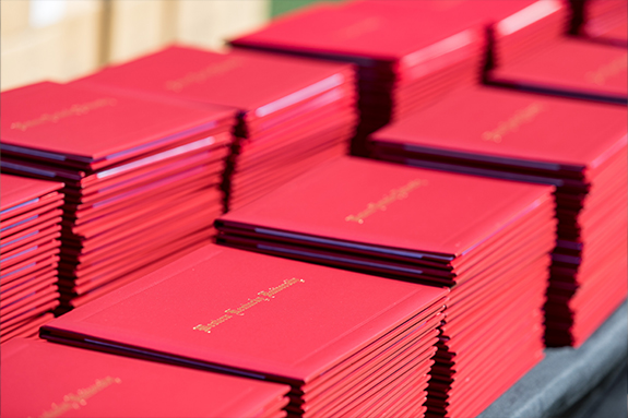 Graduate Diplomas
