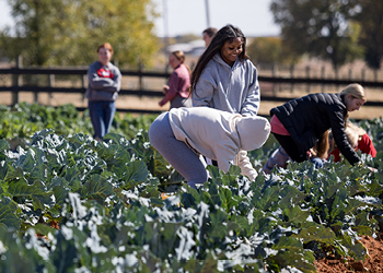 Farm to Campus
