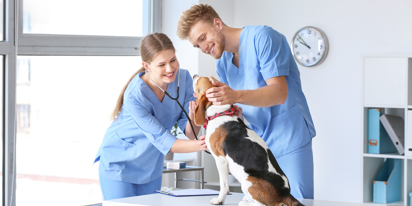 Photo of 2 vets with a dog