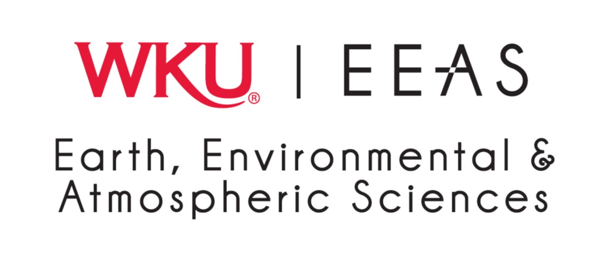 EEAS LOGO