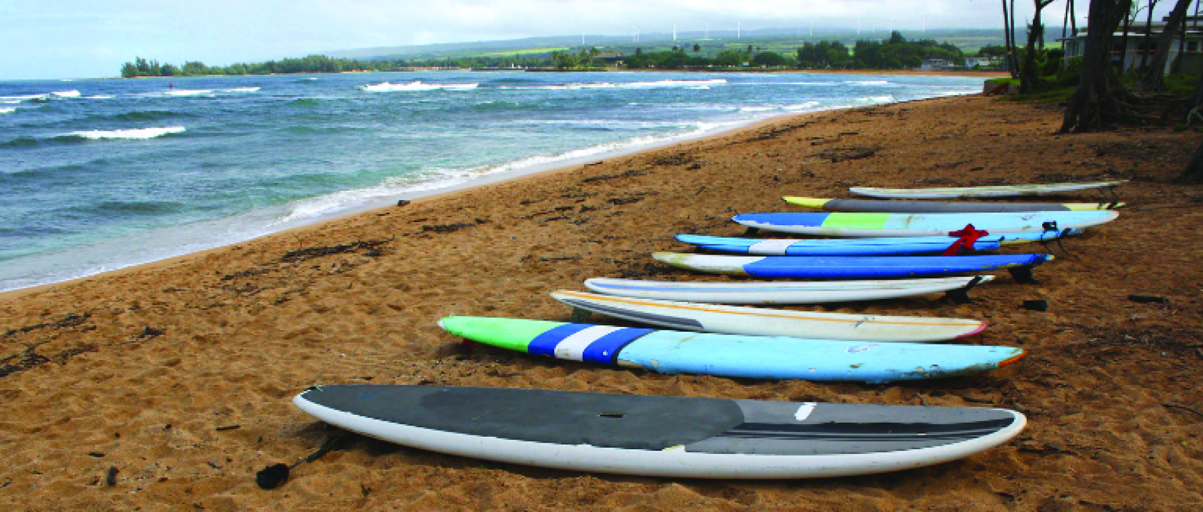 Study Abroad in Hawaii
