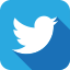 twitter icon