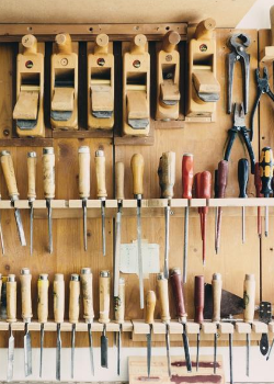 Organization
