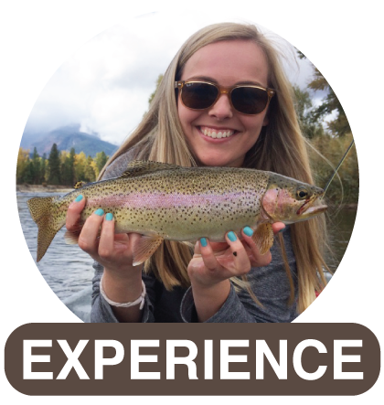 Experience