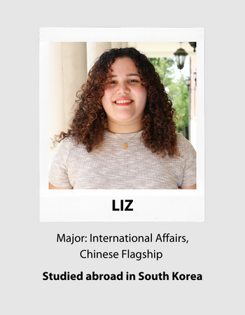 Chat with Liz