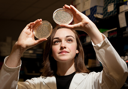Summer of Research, Internships, and Study Abroad Await Gatton Academy Students | Western Kentucky University