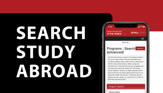 Program Search