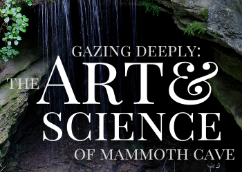Gazing title card