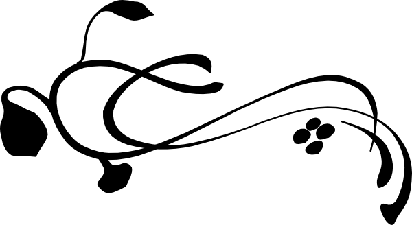 right vine