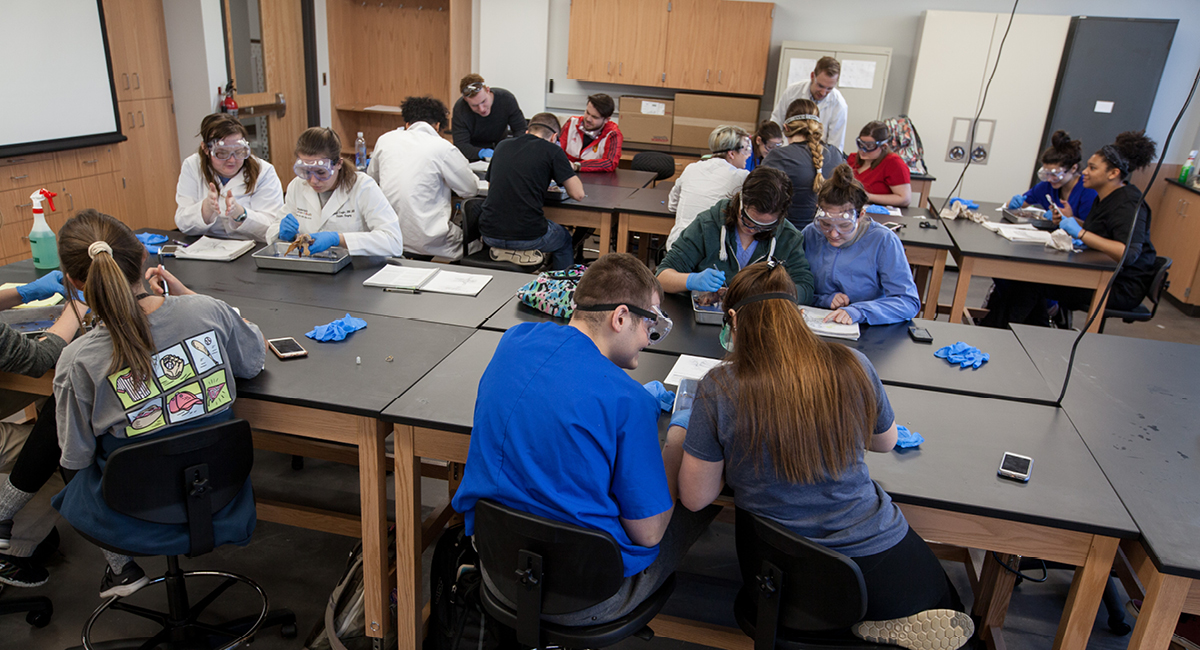 with Ogden College of Science & Engineering