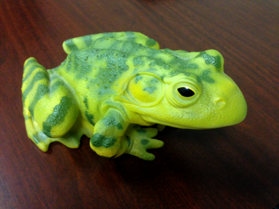 frog