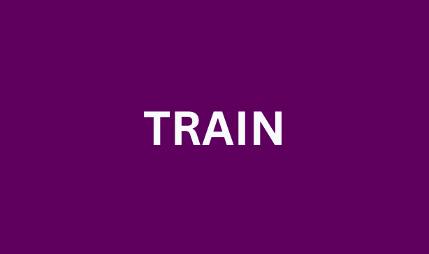 train