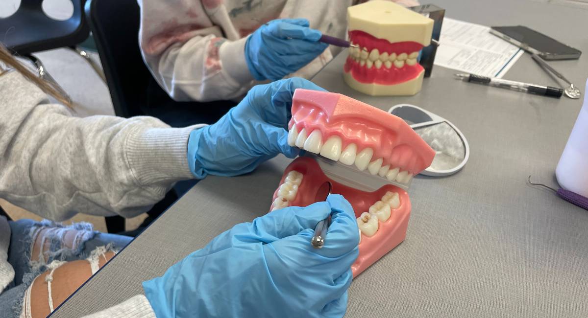 Dental Careers