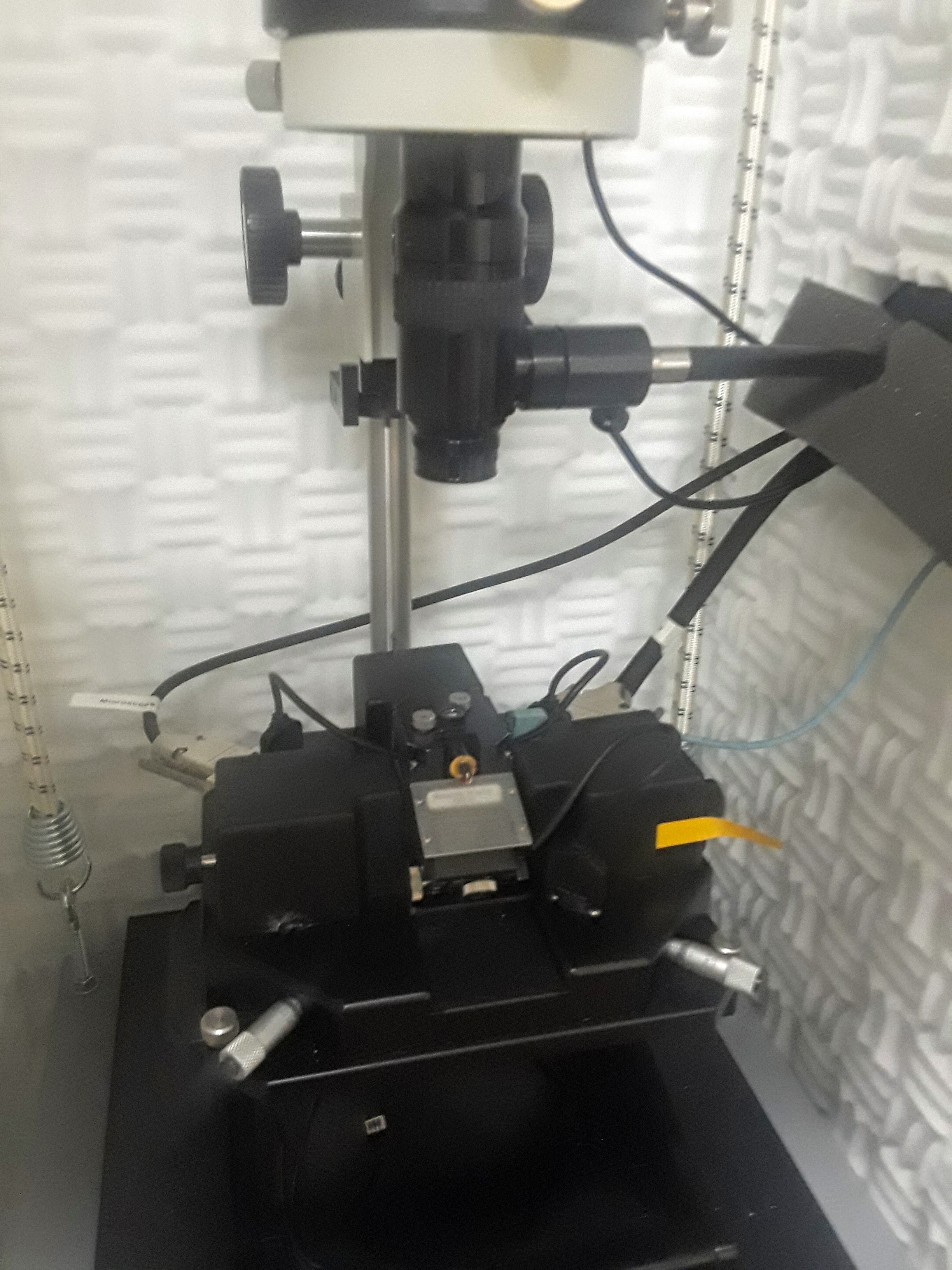 afm image