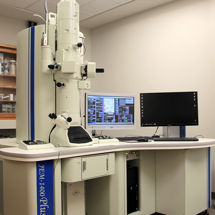 STEM Microscope