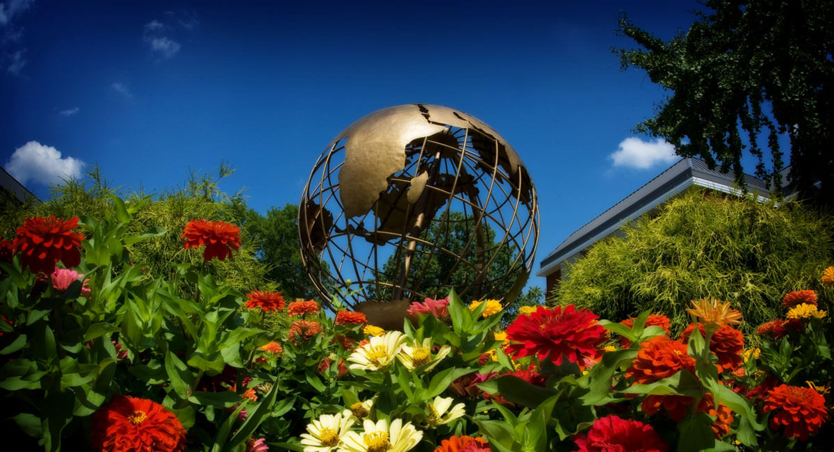 Connect with WKU