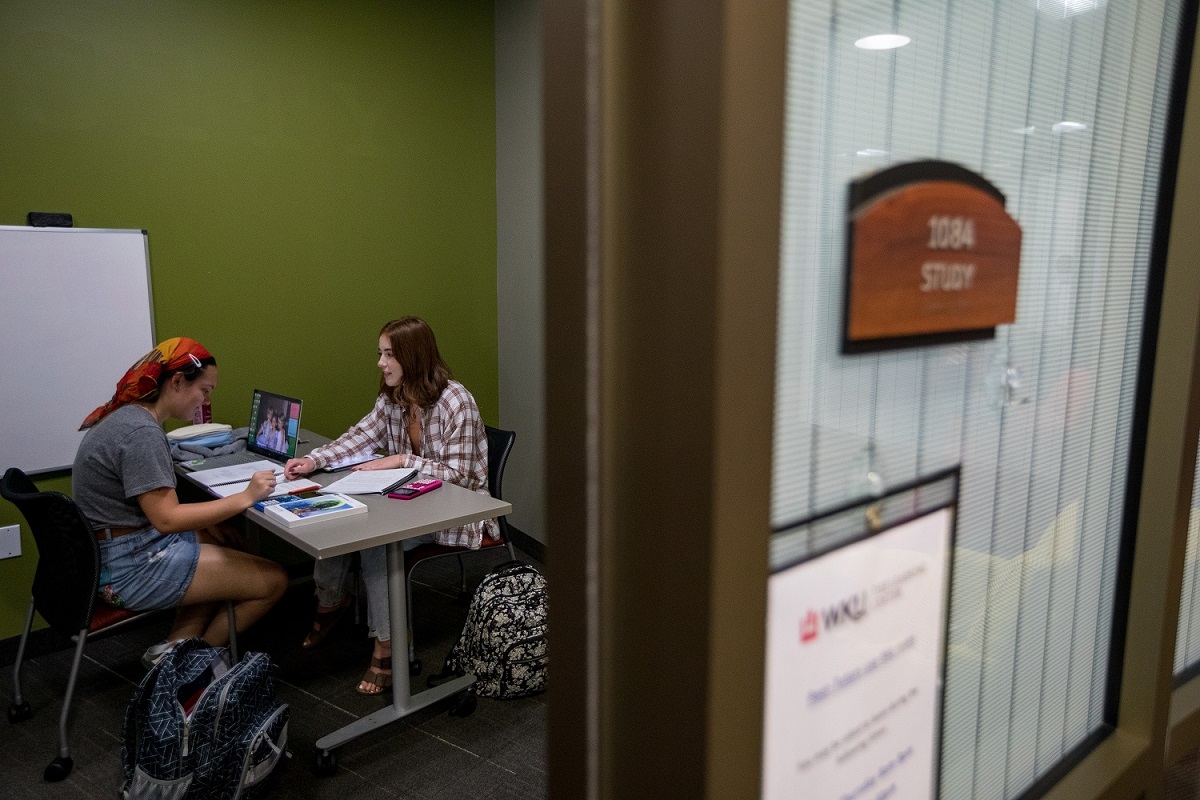 Two students working together in a private study room