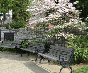 Diddle Park